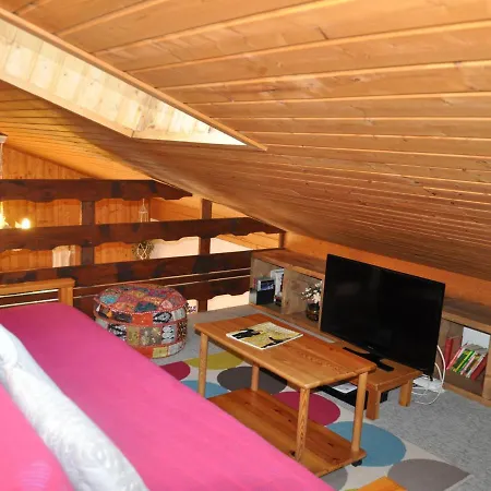 公寓 Confortable A Chatel, Proche Des Telesieges, Avec Wi-fi - Fr-1-693-49 沙泰勒