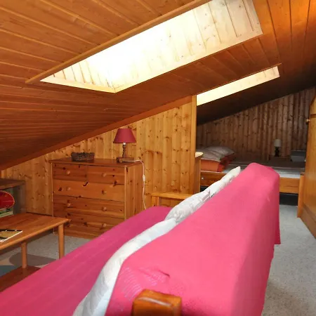 Confortable A Chatel, Proche Des Telesieges, Avec Wi-fi - Fr-1-693-49 沙泰勒